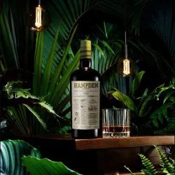 Bouteille de Hampden 1753 avec verre de rhum, mise en scène végétale et lumière tamisée